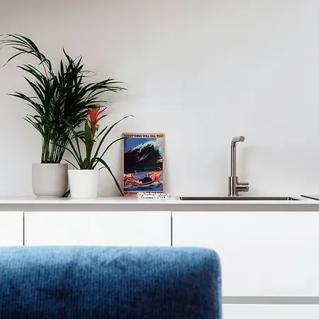 公寓 Amazing Attic On Harbour 科莫