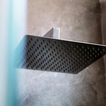 公寓 Amazing Attic On Harbour 科莫