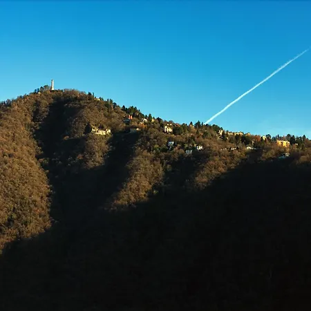 Amazing Attic On Harbour Daire *
